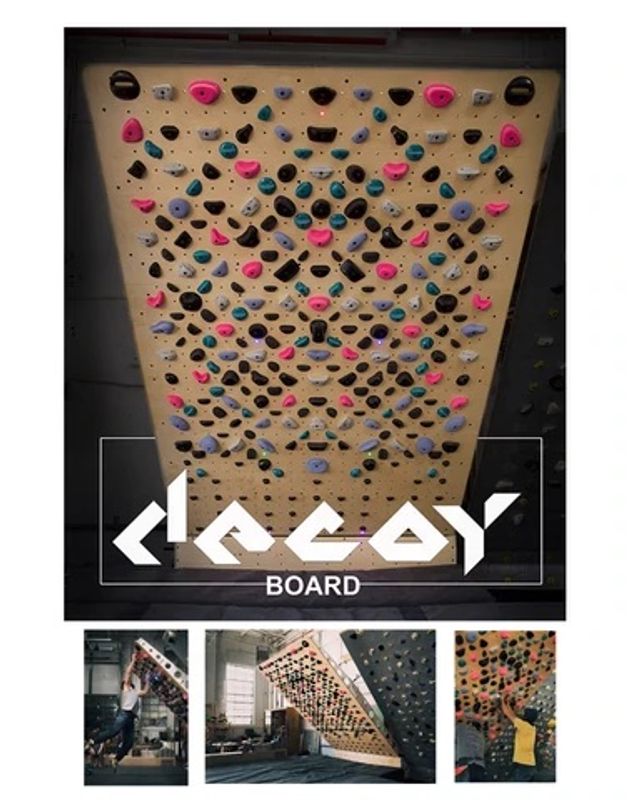 Decoy Board 8x12 Complete