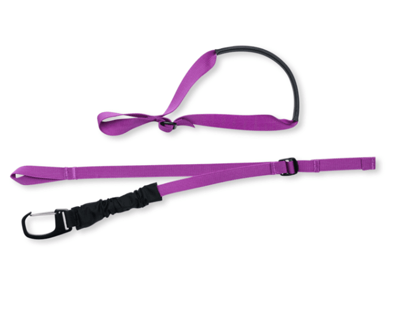Black Diamond Ski Carry Kit Whit Clip