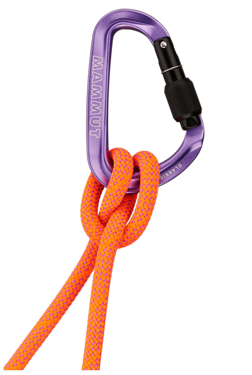 Mammut Classic HMS Screwgate Carabiner alpine calamint