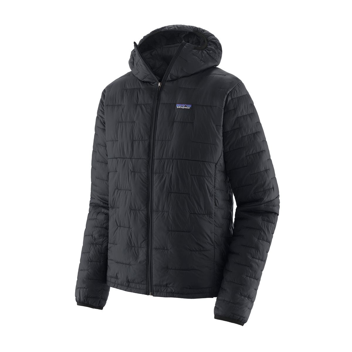 Patagonia Micro Puff Hoody M's black