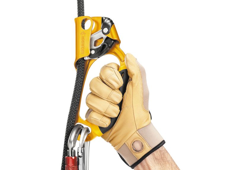 Petzl Ascension right
