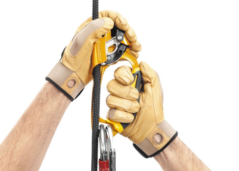 Petzl Ascension right